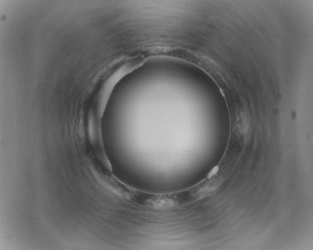 X0000071920512200607071201