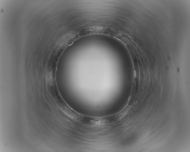 X0000071920564200607071200