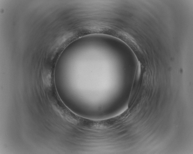 X0000071920596200607071159