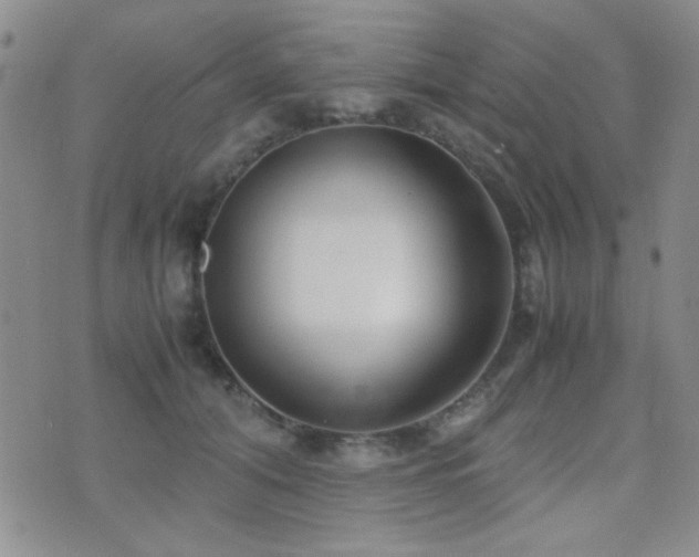 X0000071920608200607071159
