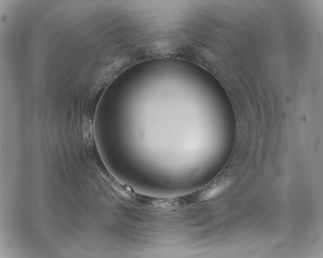 X0000071920624200607071159