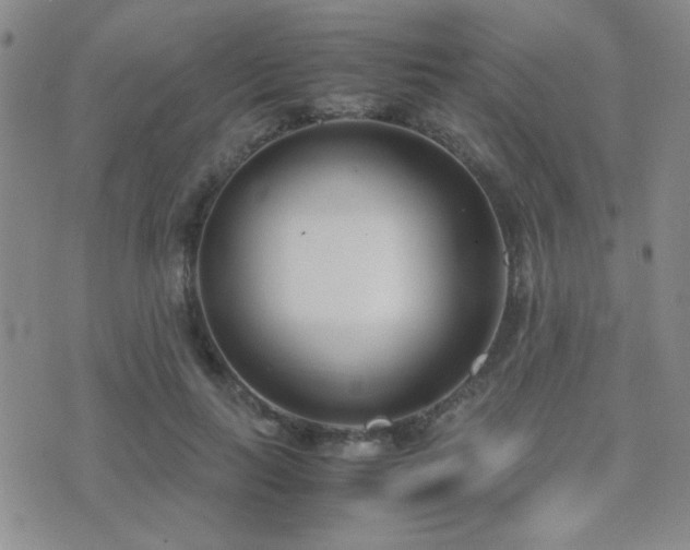 X0000071920647200607071158