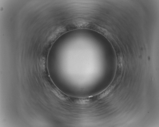 X0000071920664200607071159
