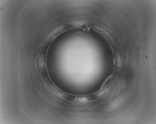 X0000071920665200607071159