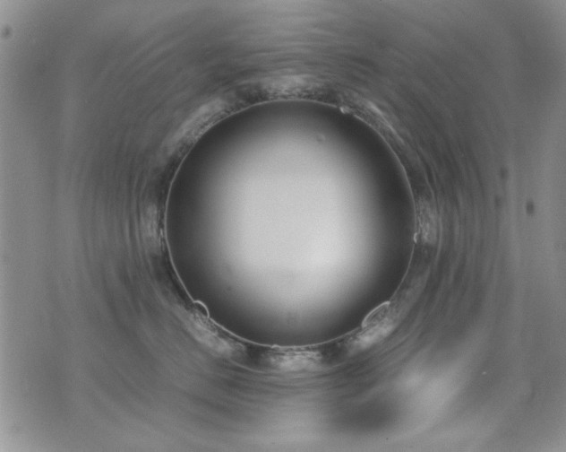 X0000071920670200607071159