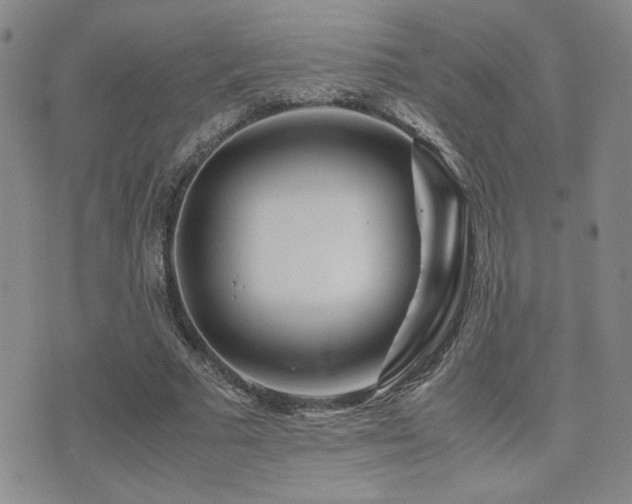X0000071920681200607071158