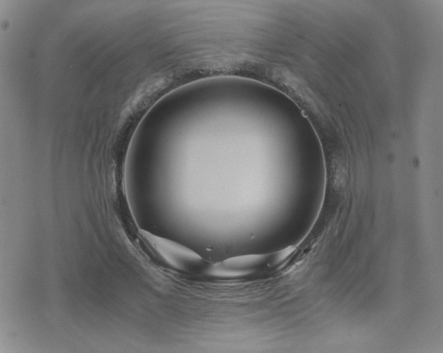 X0000071920685200607071158