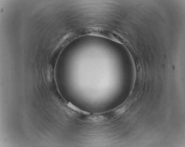 X0000071920712200607071157