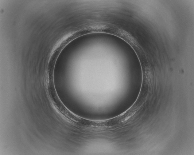 X0000071920726200607071156