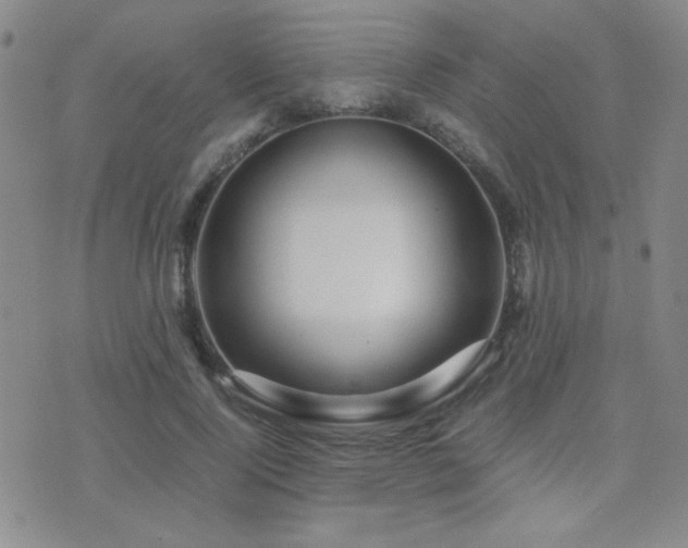 X0000071920740200607071157