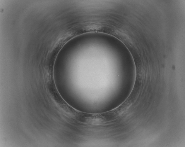 X0000071920743200607071157