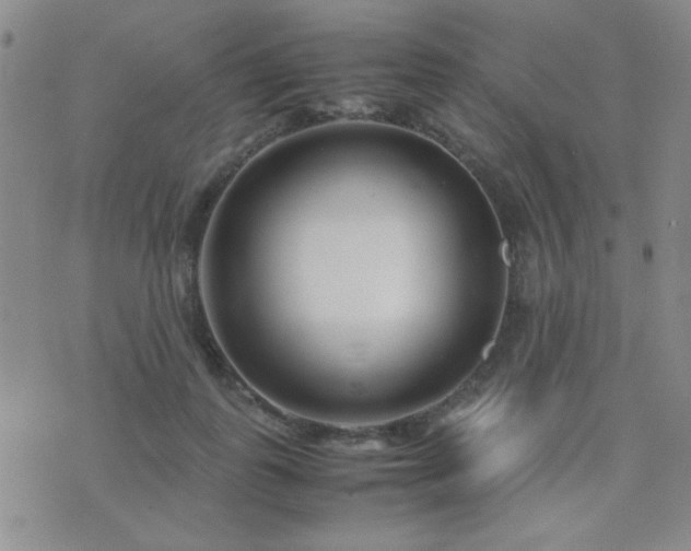 X0000071920747200607071157