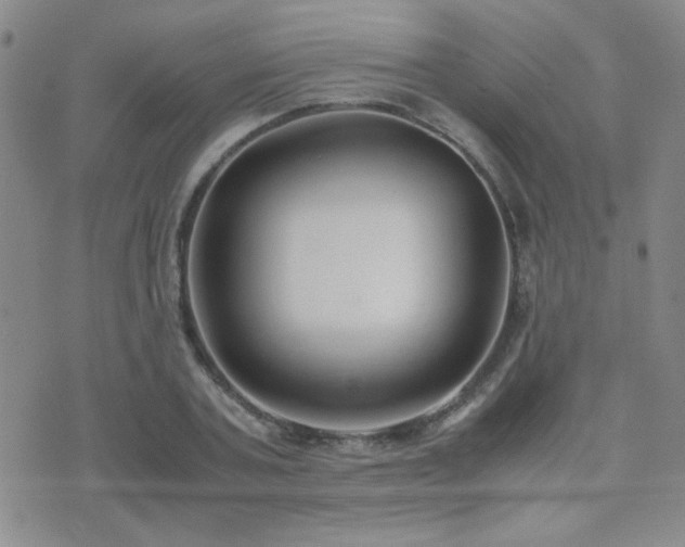 X0000071920787200607071156
