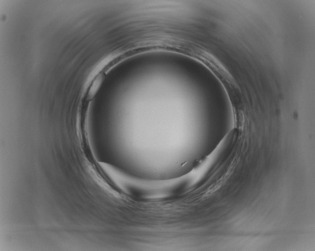 X0000071920788200607071156