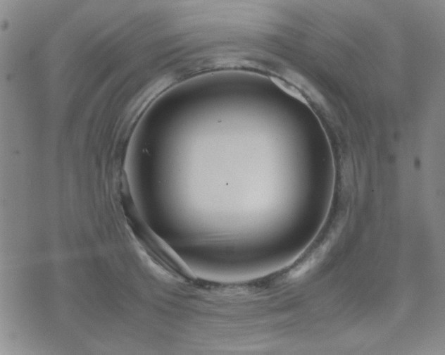 X0000071920801200607071156