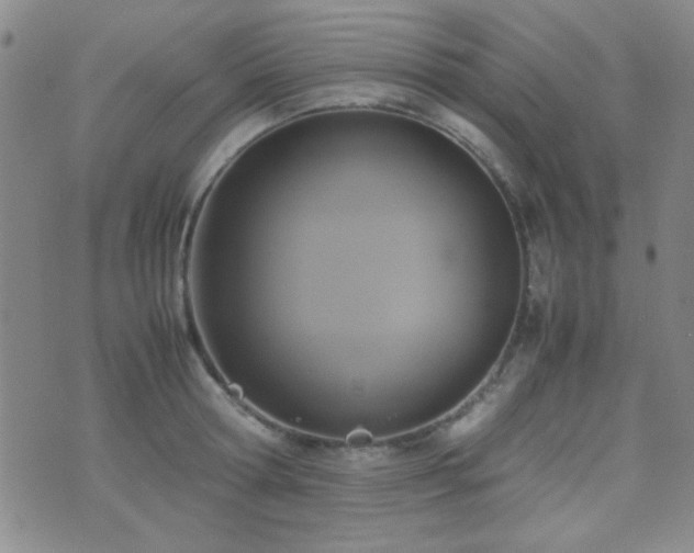 X0000071920802200607071156