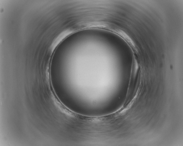 X0000071920814200607071156