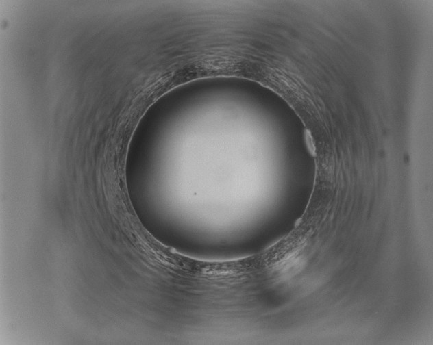X0000071920817200607071155
