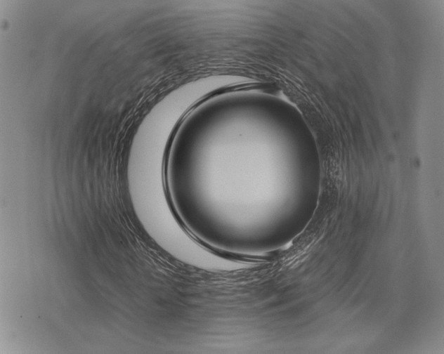 X0000071920818200607071155