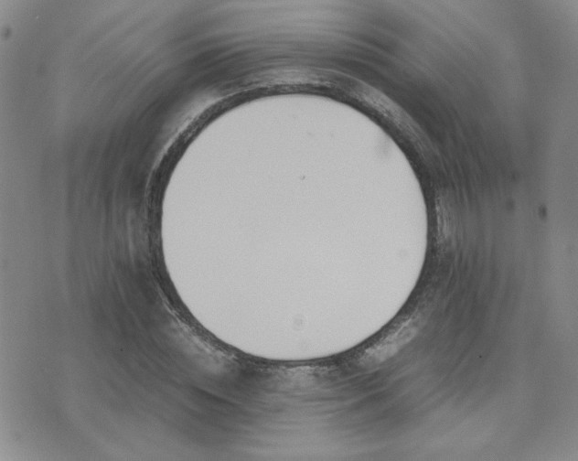 X0000071920828200607071155