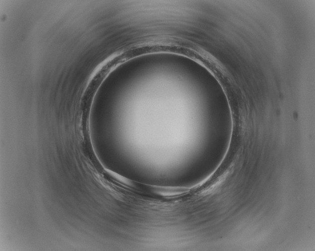 X0000071920830200607071155