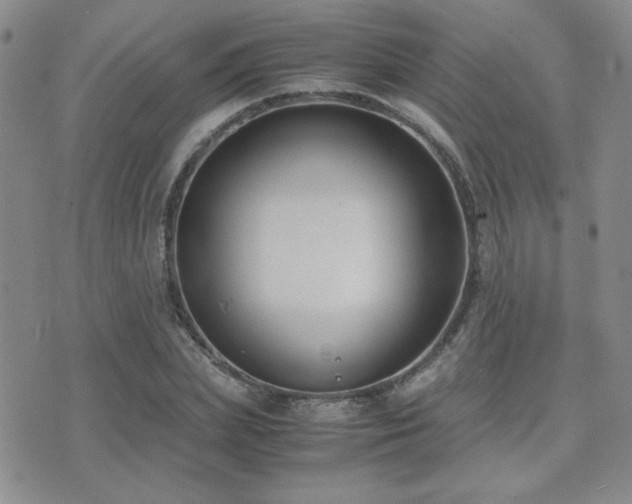 X0000071920831200607071155