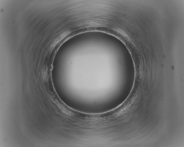 X0000071920873200607071155