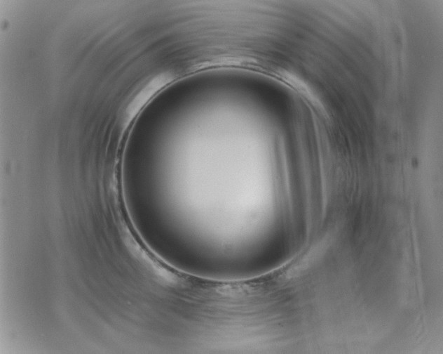 X0000071920906200607071154