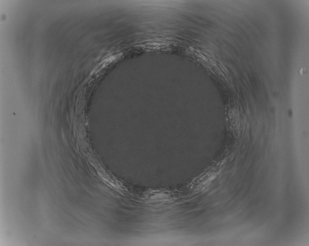 X0000071920913200607071153