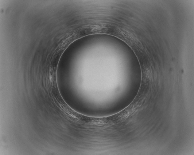 X0000071920914200607071153