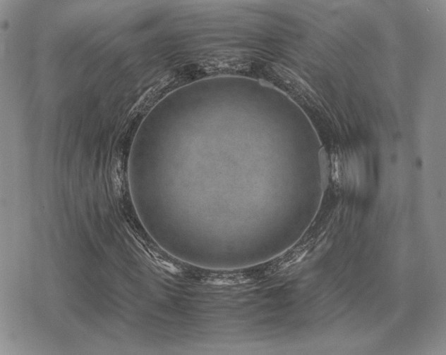 X0000071920915200607071153