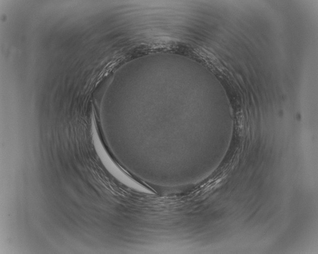 X0000071920916200607071153