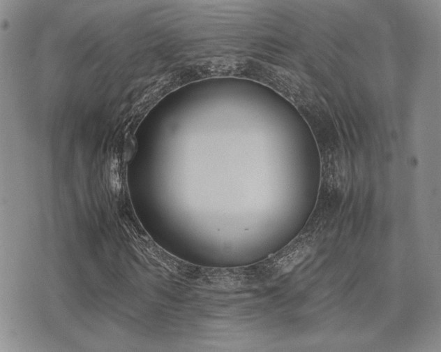 X0000071920962200607071153