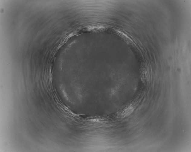 X0000071921010200607071152