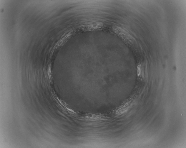 X0000071921011200607071152