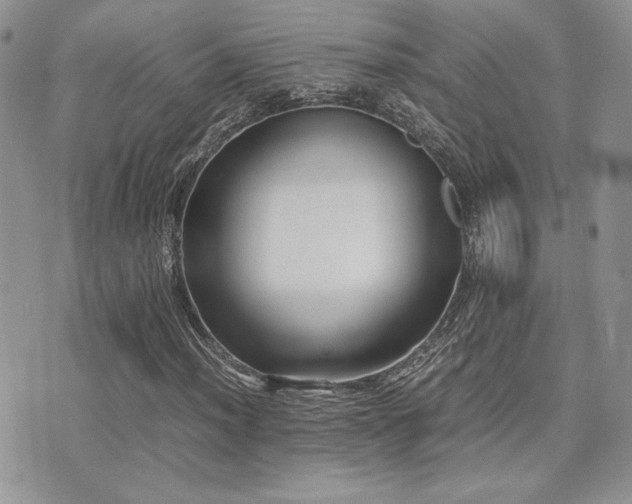 X0000071921012200607071152