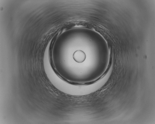 X0000071921014200607071152