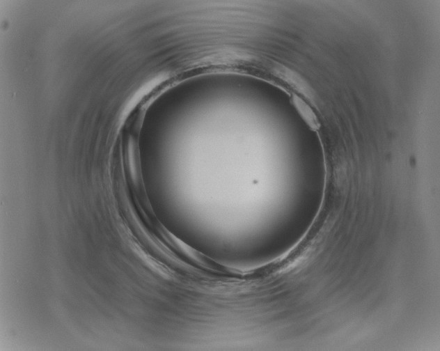 X0000071921026200607071152