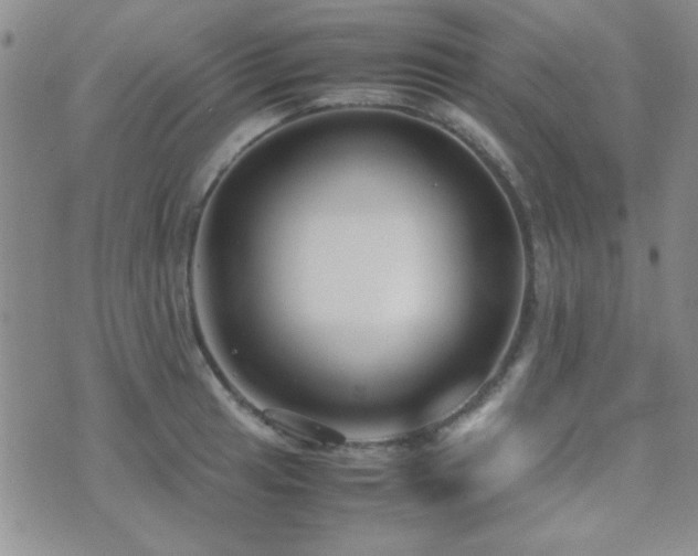 X0000071921041200607071152