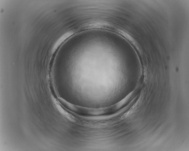 X0000071921042200607071152