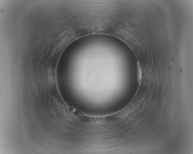 X0000071921058200607071152