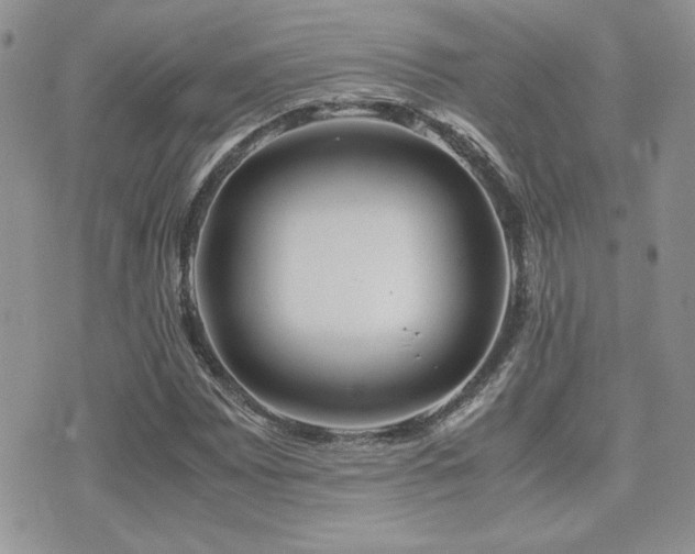 X0000071921065200607071151