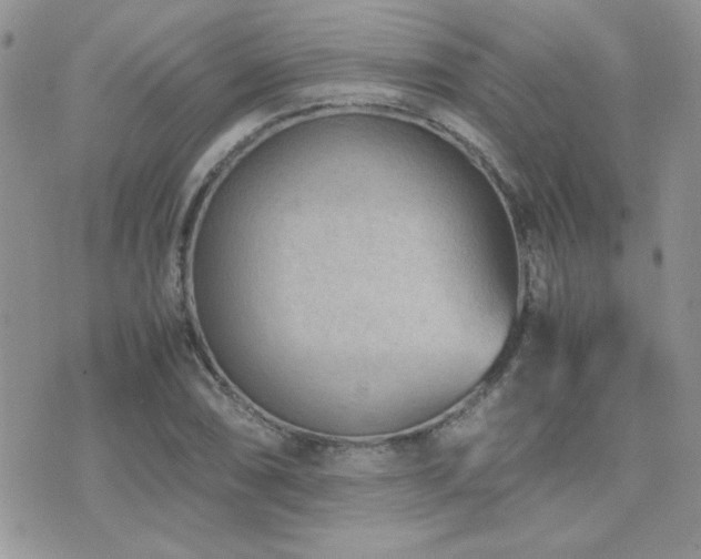 X0000071921074200607071151