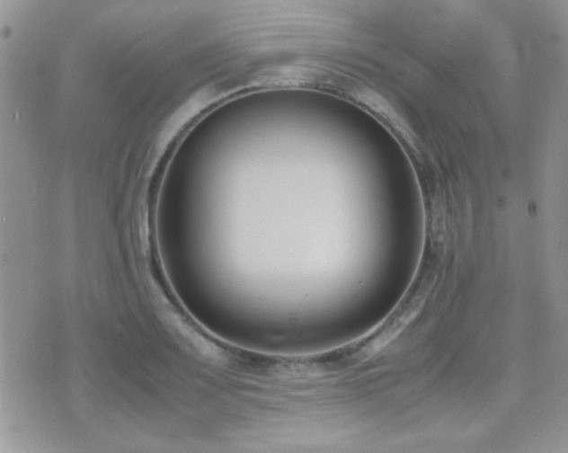 X0000071921083200607071151