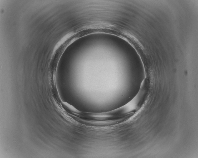 X0000071921114200607071150