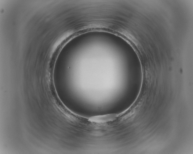 X0000071921119200607071150