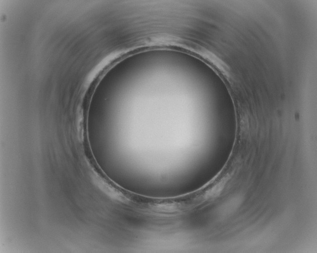 X0000071921126200607071150