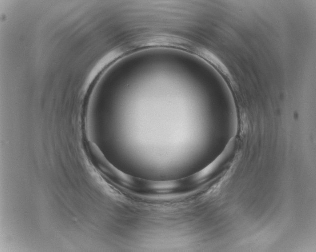 X0000071921138200607071151