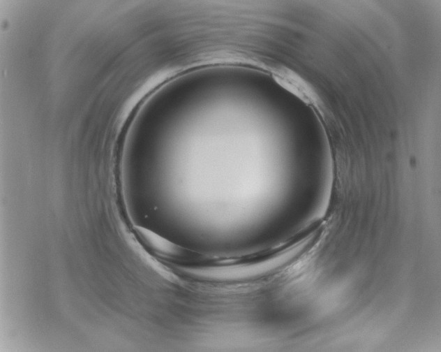 X0000071921142200607071151