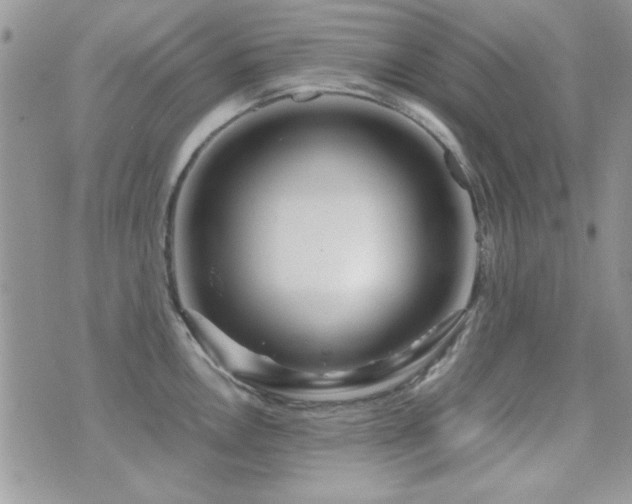 X0000071921146200607071151